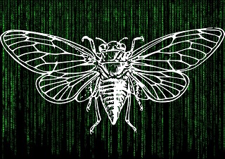 インターネット最大のミステリー!cicada3301の真相に迫る!!