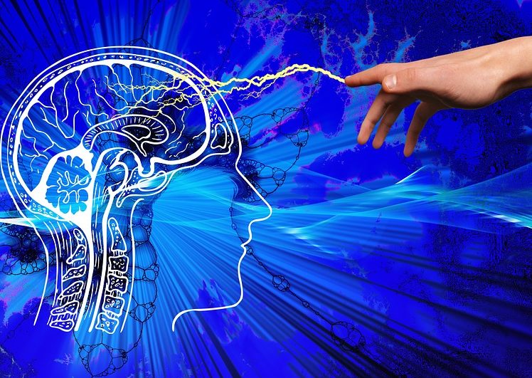 【必見】科学的に証明された、たった10分で頭が良くなる方法とは?