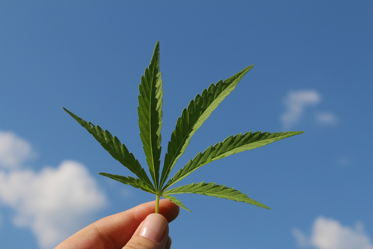 歴史から学ぶ、大麻の効果が実は非常に良いとされている理由とは?